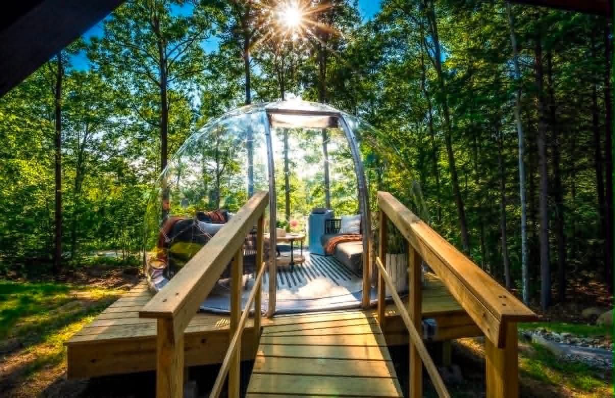 Forest bubble, glass polished clear